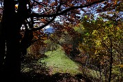 Dalla Culmine di S. Pietro allo Zuc di Maesimo sul sentiero alto estivo 21 DOL il 19 ottobre 2015   - FOTOGALLERY